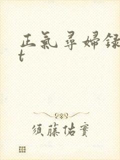 正气寻妇录txt