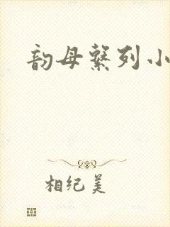 韵母系列小说封面