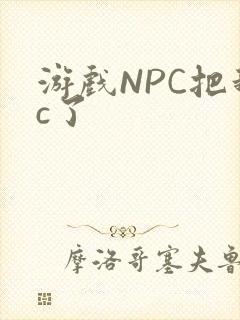 游戏NPC把我c了