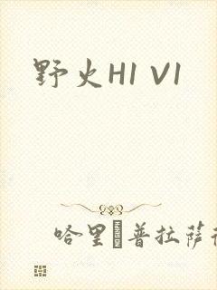 野火H1 V1封面