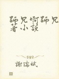 师兄啊师兄的原著小说封面