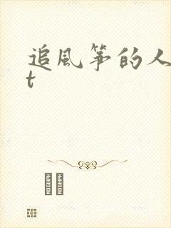 追风筝的人txt