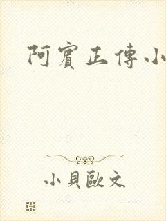 阿宾正传小说