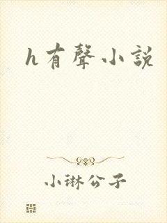 h有声小说