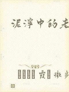 泥泞中的老虎