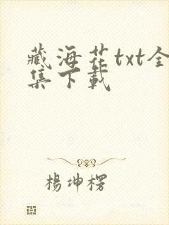 藏海花txt全集下载