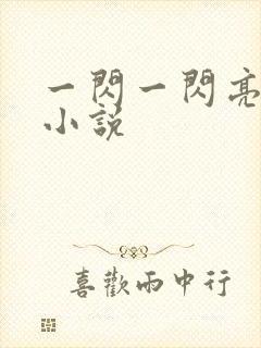 一闪一闪亮星星小说