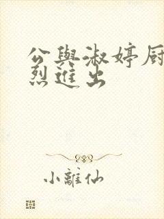公与淑婷厨房猛烈进出封面