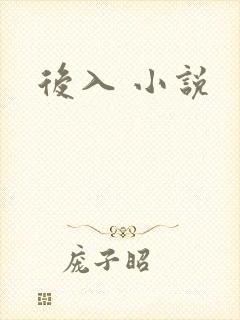 后入 小说封面