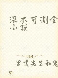 深不可测金银花小说