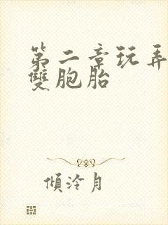 第二章玩弄校花双胞胎