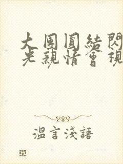 大团圆结闪闪发光亲情会视频