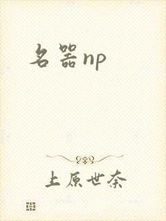 名器np
