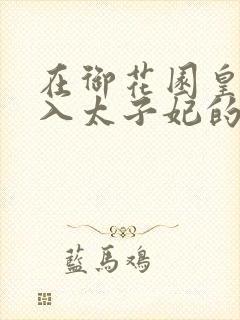 在御花园皇上进入太子妃的小说