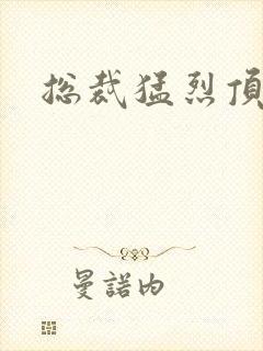 总裁猛烈顶弄h