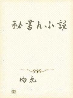 秘书h小说