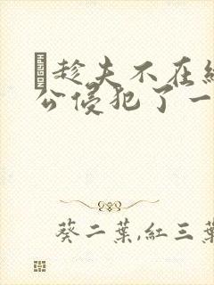 巜趁夫不在给给公侵犯了一天