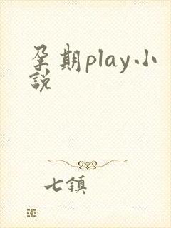 孕期play小说
