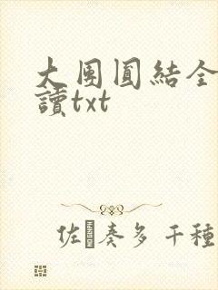大团圆结全文阅读txt