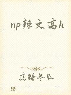 np辣文高h封面