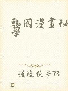 韩国漫画秘密教学