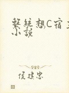 系统想C宿主的小说