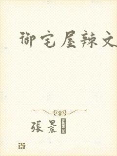 御宅屋辣文