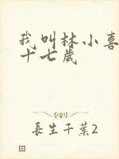 我叫林小喜今年十七岁