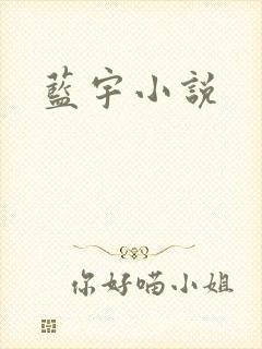 蓝宇小说封面