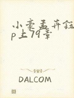 小豪孟卉钰慧三p上79章