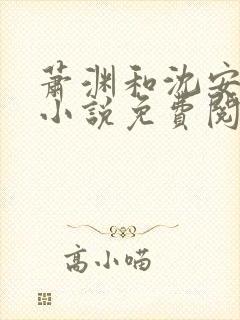 萧渊和沈安安的小说免费阅读