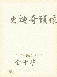 史迪奇头像