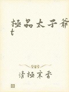 极品太子爷txt封面