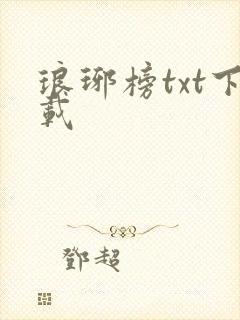 琅琊榜txt下载