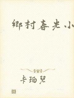 乡村春光小说