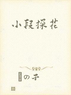 小段探花