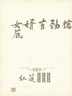 女婿有劲枪枪到底