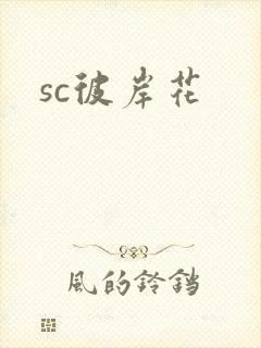 sc彼岸花