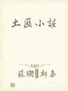 土匪小说