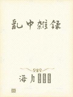 乱中杂录