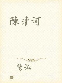 陈清河封面