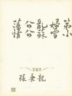 荡公乱妇第1章情公苏雪小说