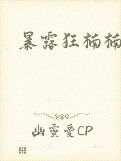 暴露狂楠楠封面