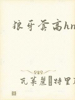 狼牙套高hnp
