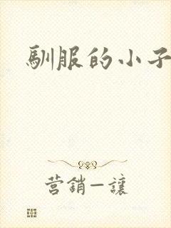 驯服的小子4封面