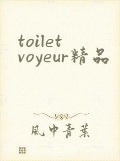 toilet voyeur精品