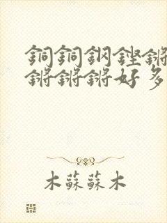 铜铜钢铿锵锵锵锵锵锵好多少阅读封面