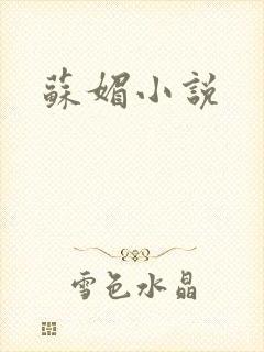 苏媚小说