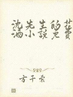 沈先生的花式调酒小说免费阅读
