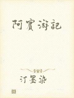 阿宾游记